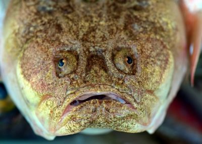 Führung und Vertrieb aus einem Guss