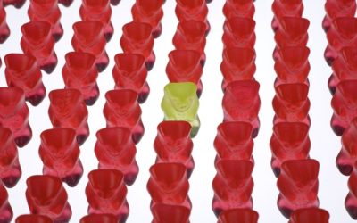 14. Als Führungskraft Verbündete finden